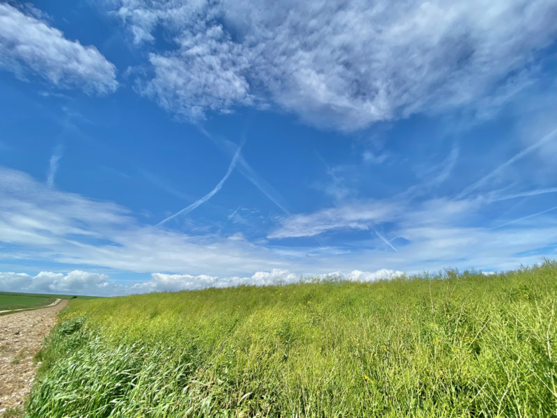 South Downs Way. Image © PlanetSKI